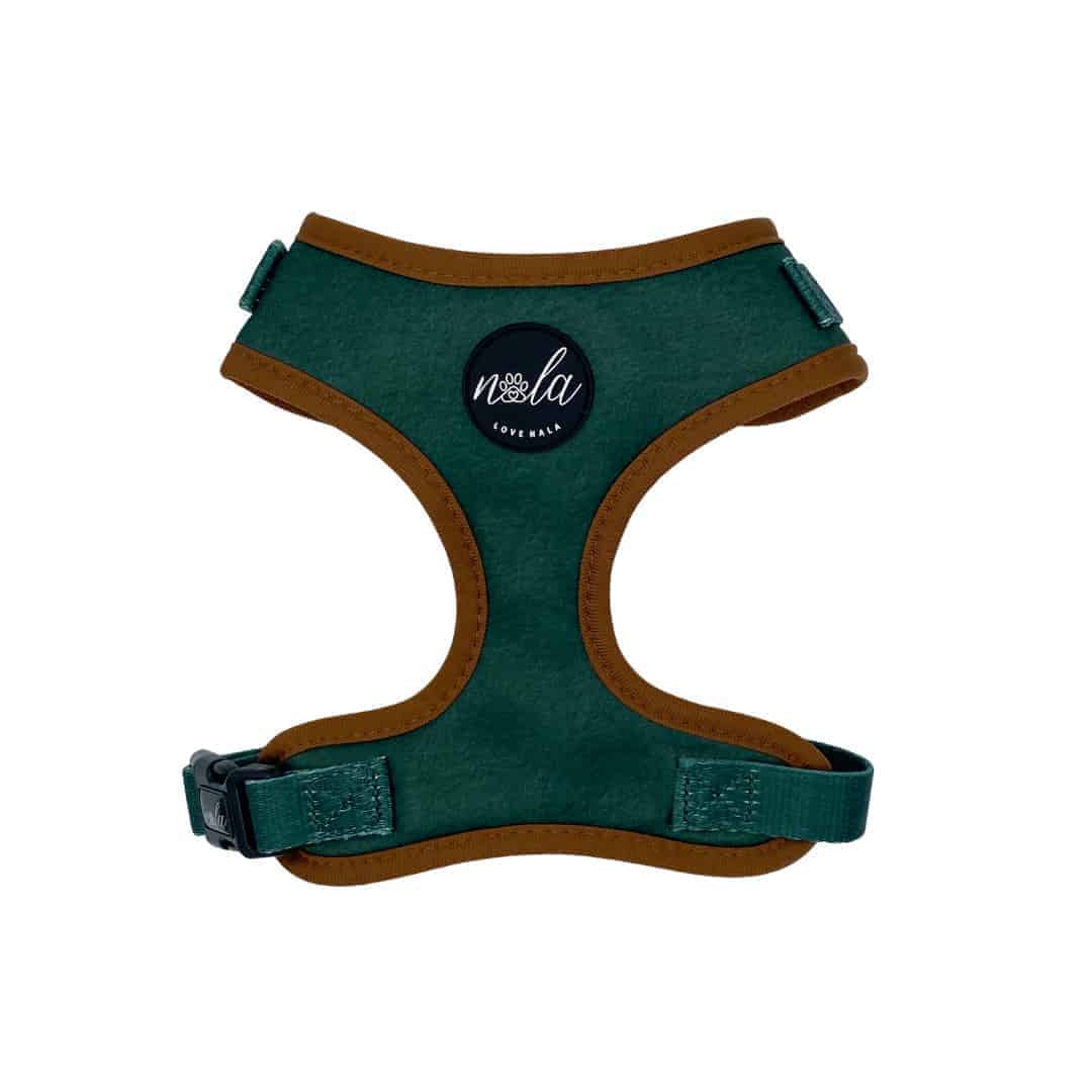 Harnesses Love Nala