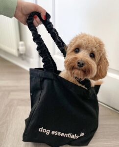 "dog essentials" luxury canvas tote black