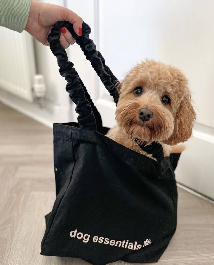 "dog essentials" luxury canvas tote black