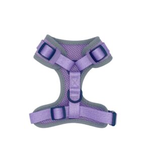 new botanical collection lavender fields harness