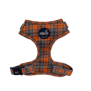 new royal collection royal tartan harness