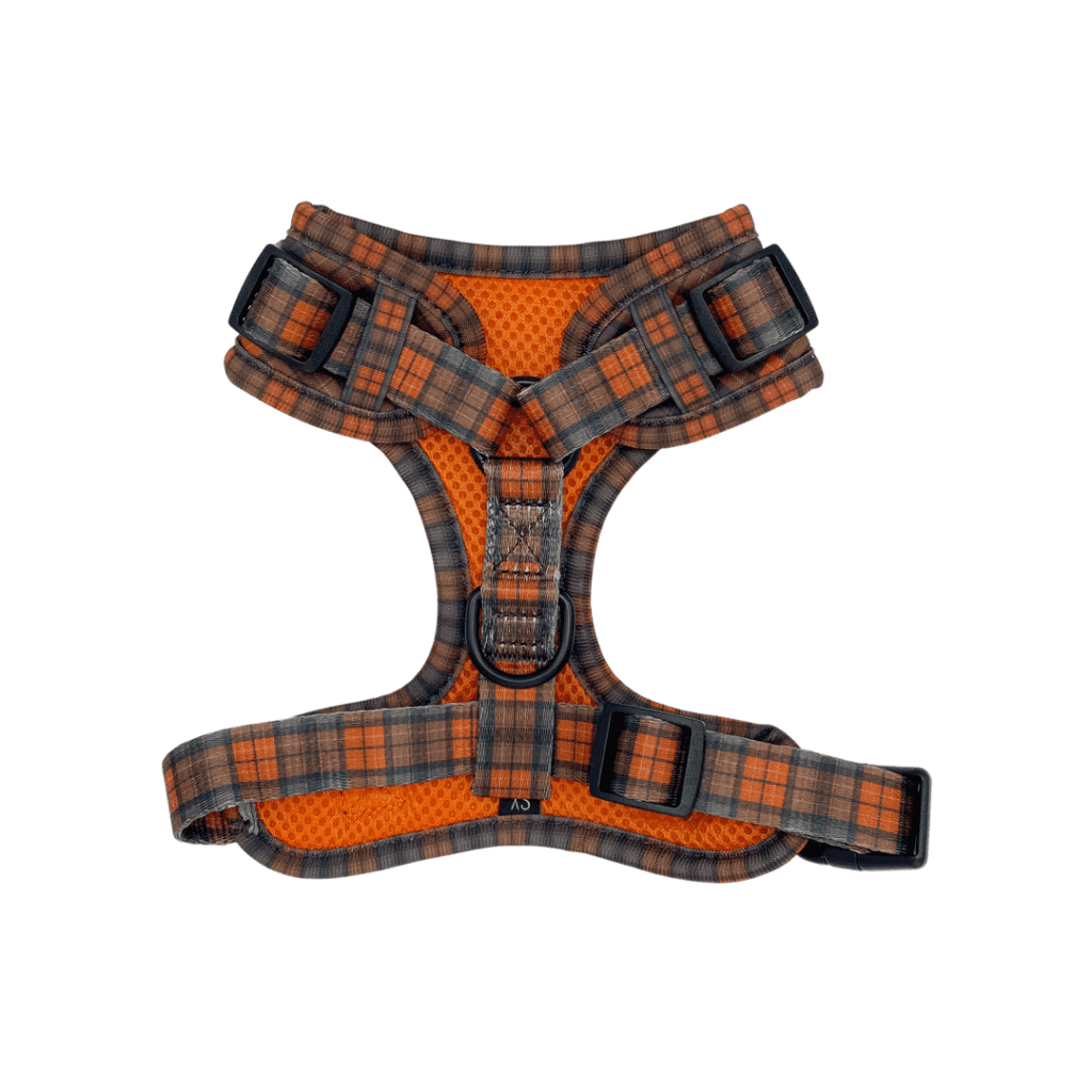 new royal collection royal tartan harness