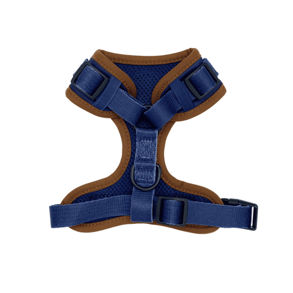 new royal collection royal heritage harness