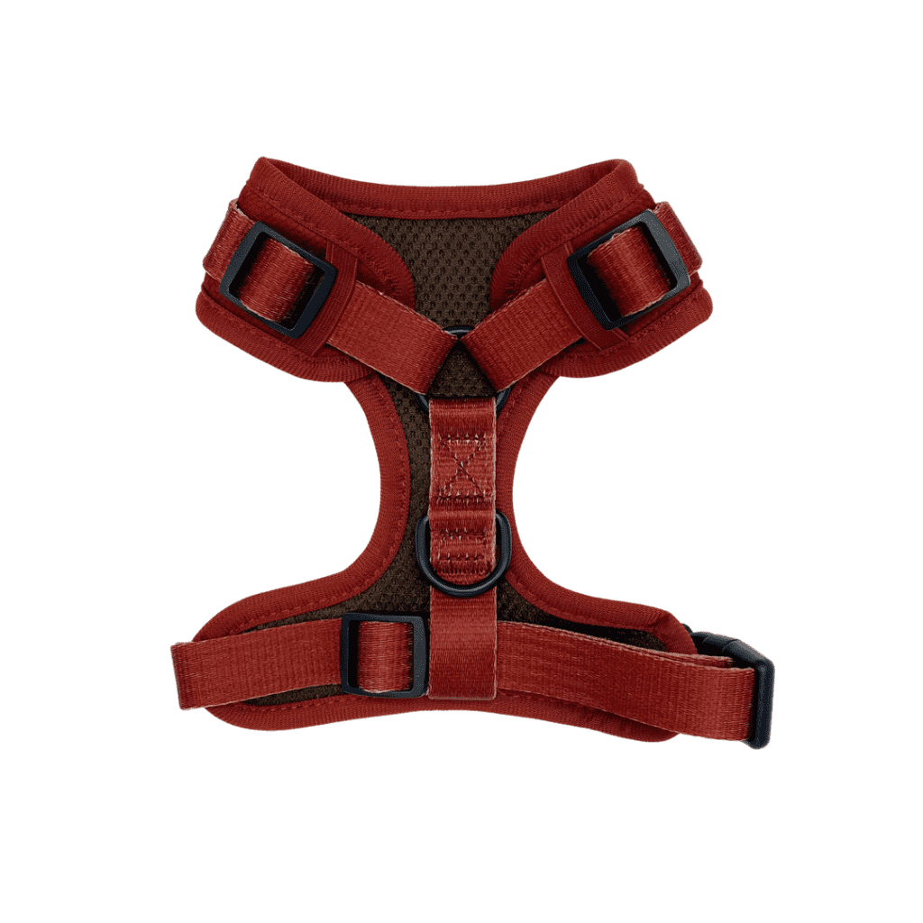 jewels collection ruby 'reimagined' harness