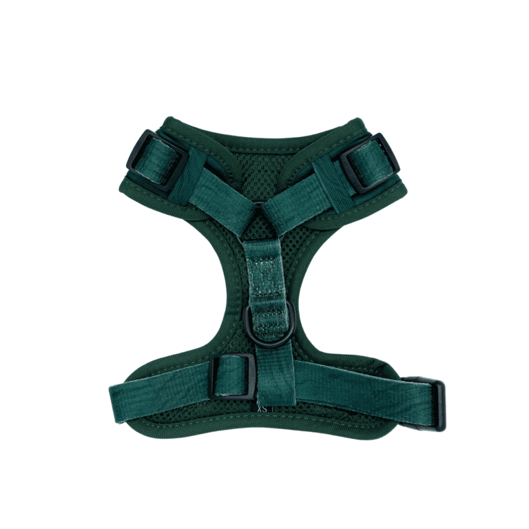 jewels collection emerald 'reimagined' harness (copy)
