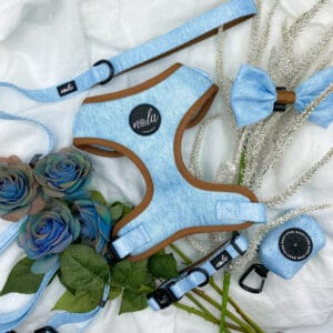 botanical collection bundle woodland bluebell collar & lead